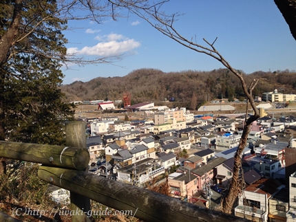 いわき観光　いわき桜の名所　観音山公園