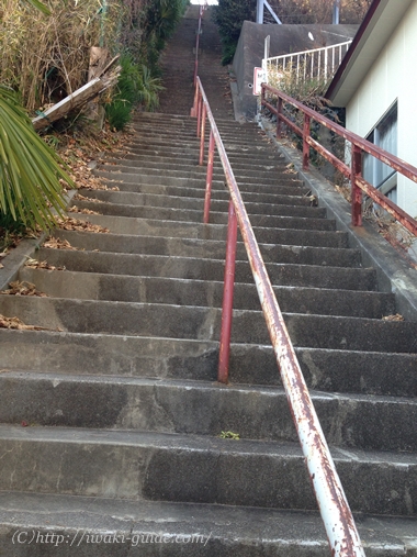 いわき観光　いわき桜の名所　観音山公園