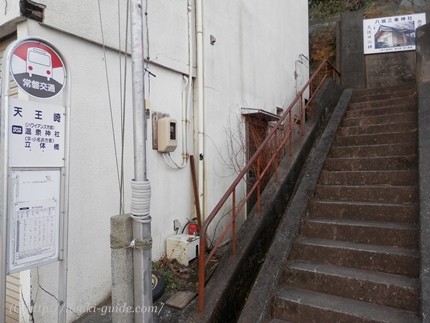 御幸山公園　いわき福島桜の名所