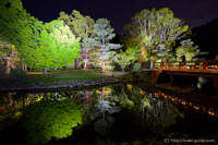 白水阿弥陀堂ライトアップ