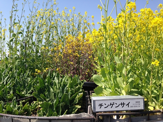 アクアマリンふくしま