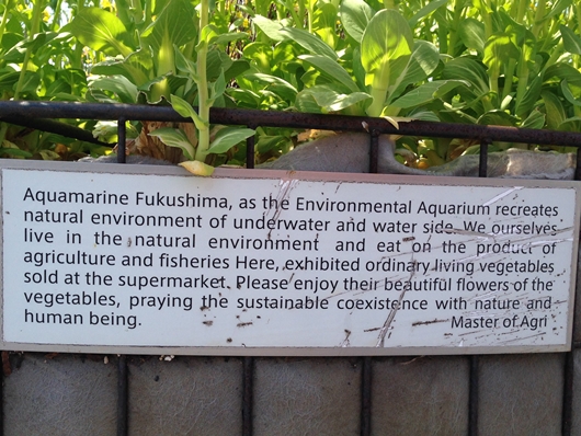 アクアマリンふくしま