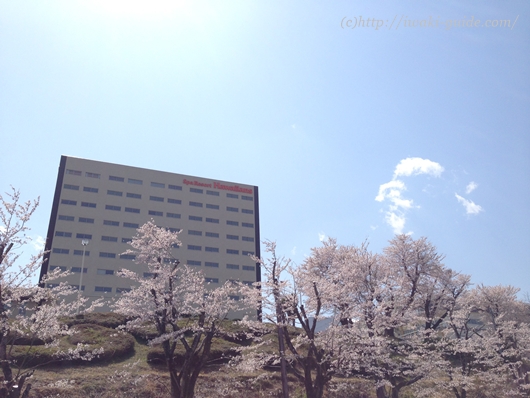 いわき桜の名所