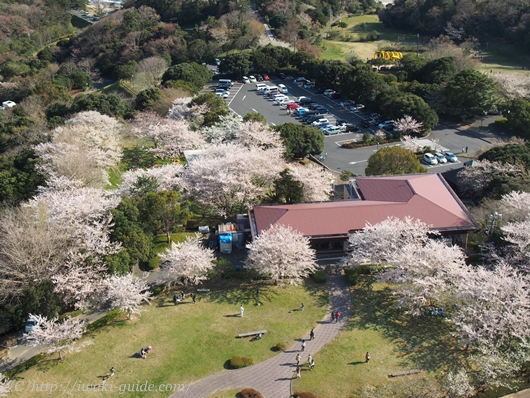 いわきマリンタワー駐車場　入場料　展望台からの景色