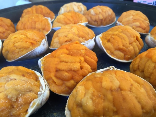 ウニ貝焼き　いわき商工会議所　湘南台ファンタジア