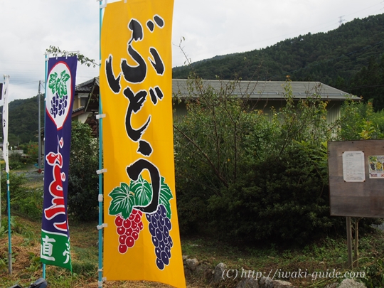 いわき観光おすすめ　ぶどう狩り食べ放題　葡萄の里