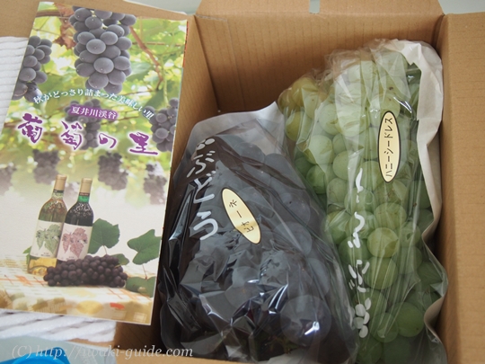 いわき観光おすすめ　ぶどう狩り食べ放題　葡萄の里