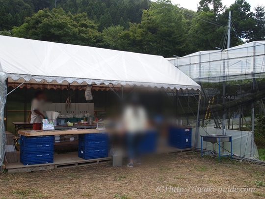 いわき観光おすすめ　ぶどう狩り食べ放題　葡萄の里