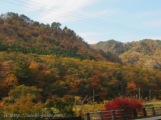 福島県いわき市　観光名所　紅葉