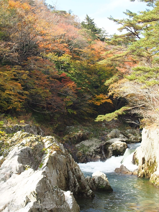 夏井川渓谷　籠場の滝