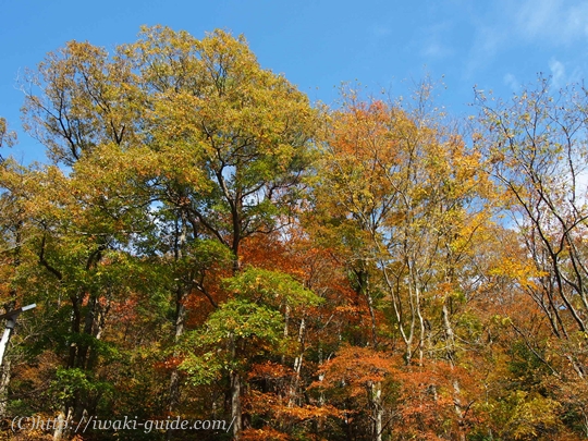 夏井川渓谷　背戸峨廊