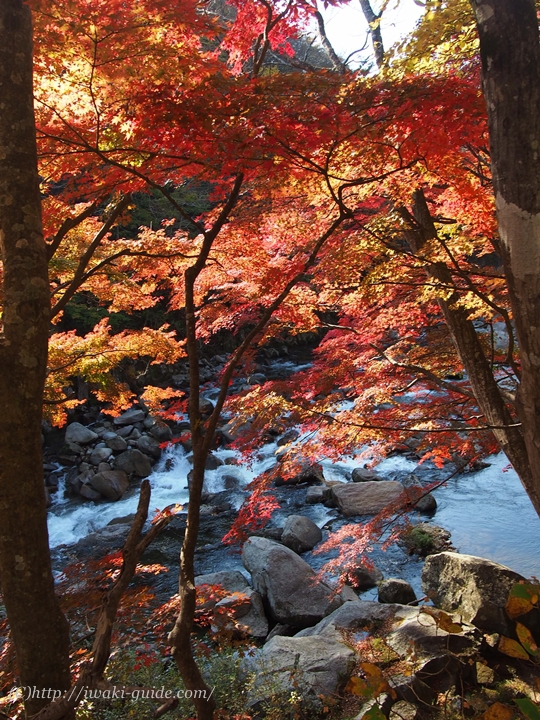 いわき観光　夏井川渓谷