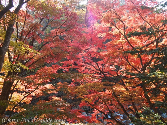 いわき観光　夏井川渓谷