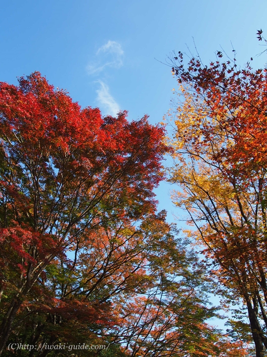 いわき観光　夏井川渓谷
