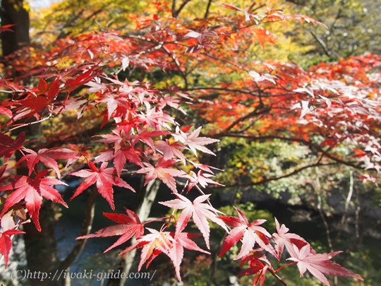 夏井川渓谷　籠場の滝
