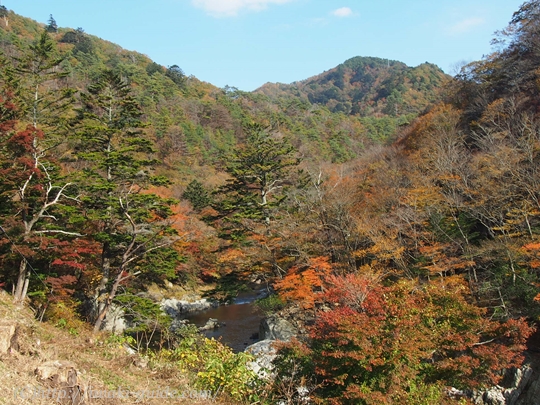 夏井川渓谷　背戸峨廊
