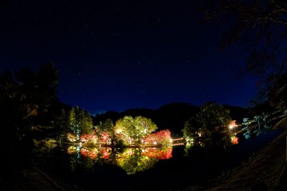 白水阿弥陀堂　紅葉ライトアップ