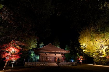 白水阿弥陀堂　紅葉ライトアップ