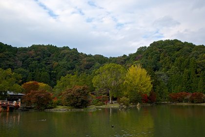 白水阿弥陀堂 紅葉ライトアップ2013