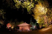 白水阿弥陀堂紅葉ライトアップ2014