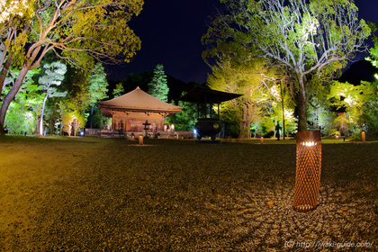 白水阿弥陀堂ライトアップ