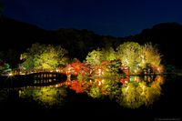 白水阿弥陀堂紅葉ライトアップ2014