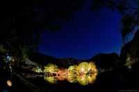 白水阿弥陀堂紅葉ライトアップ2014