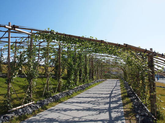 アクアマリンふくしま　小名浜観光　くずのトンネル