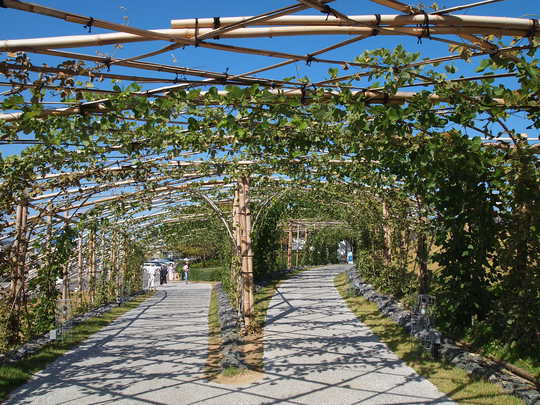 アクアマリンふくしま　小名浜観光