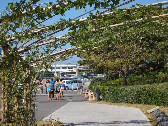 いわき　サンシャインフェスタ