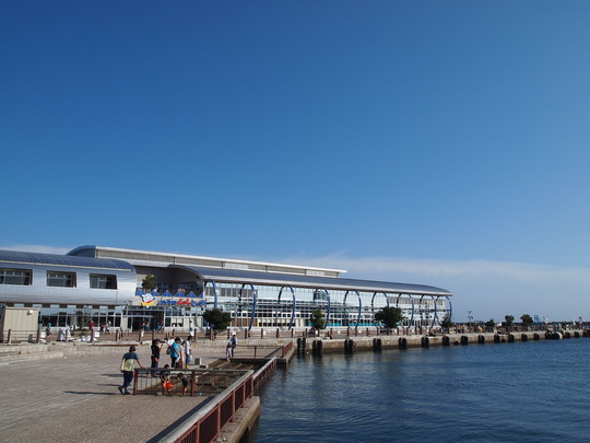 いわきら・ら・ミュウ