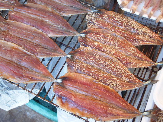 いわきら・ら・ミュウ