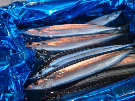 いわきら・ら・ミュウ