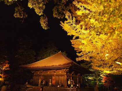 白水阿弥陀堂　紅葉ライトアップ2013