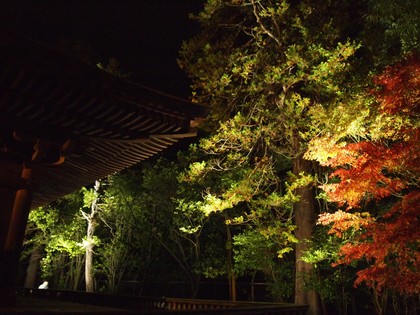 白水阿弥陀堂　紅葉ライトアップ2013