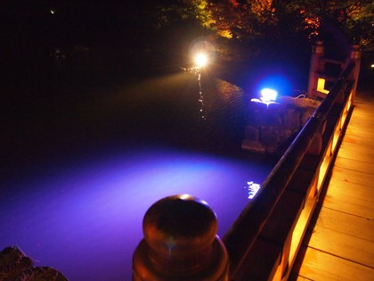 白水阿弥陀堂　紅葉ライトアップ2013