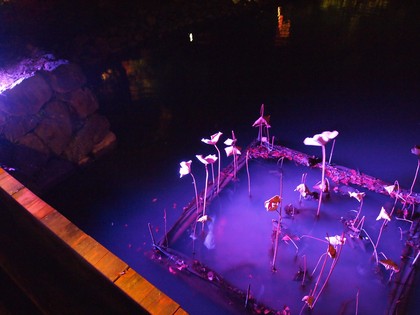 白水阿弥陀堂　紅葉ライトアップ2013