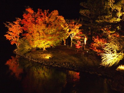 白水阿弥陀堂　紅葉ライトアップ2013