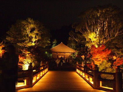 白水阿弥陀堂　紅葉ライトアップ2013