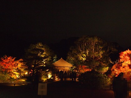 白水阿弥陀堂　紅葉ライトアップ2013