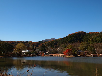 白水阿弥陀堂　紅葉ライトアップ