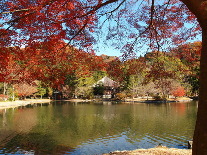 白水阿弥陀堂　紅葉ライトアップ