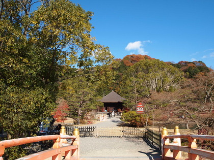 白水阿弥陀堂　紅葉ライトアップ