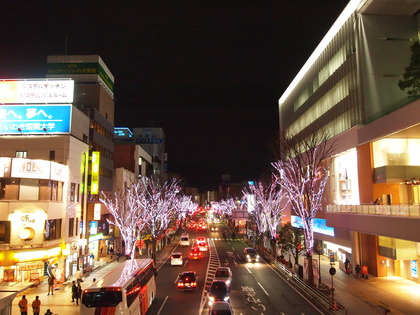 いわきイルミネーション　光のさくらまつり