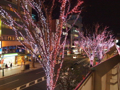 いわきイルミネーション　光のさくらまつり