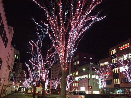 いわきイルミネーション　光のさくらまつり