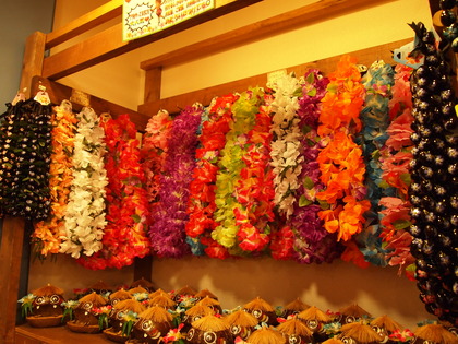 スパリゾート・ハワイアンズ　日帰りの楽しみ方