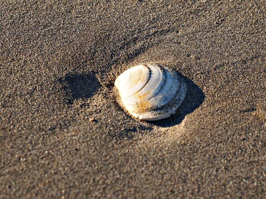 勿来海岸（菊多浦）の景色