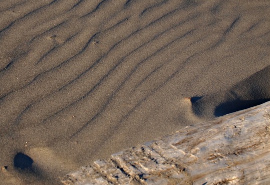 勿来海岸（菊多浦）の景色