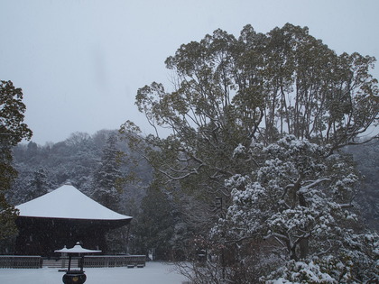 国宝白水阿弥陀堂　雪景色